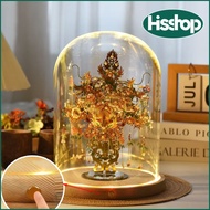 Glass dome,Glass jar with led light base,Large Capacity DIY 23cm 25cm 30cm 35cm led big glass jar