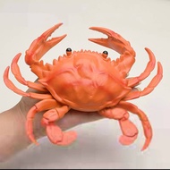 Simulation Crab Lobster Soft Rubber Marine Animal Model Hairy Crab Children's Early Education Cognit