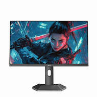 Nvision | VALORANT Gaming Monitor 24.1 inch