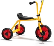 Winther WIN582 Tricycle Grade Kindergarten to 1, 10.63" Height, 16.93" Wide, 21.06" Length