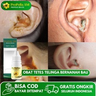 Propolis SM - Obat Tetes Telinga Bernanah Berair Telinga Bau Telinga Bernanah Infeksi Telinga Congek