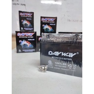 Battery DAYWAY for motorcycles-Original
