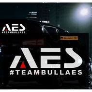 AES TEAM BULL AES cutting sticker