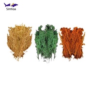 Simhoa Model Trees Miniature Trees Sand Table Hobby Train Scenery Material Resin Architecture Trees 