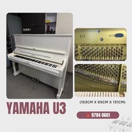 【🇯🇵YAMAHA 白色U3鋼琴】全港極罕現貨🔥
