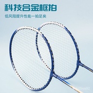 Shuangjiao Badminton Racket Iron Split Sponge Grip