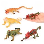 Ready Stock Collectibles Simulation Chameleon Chow Chow Chow Chow Animal Model Reptile Toys Children