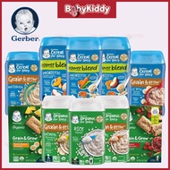 Gerber Organic Probiotic Oatmeal Lentil | Lil'bits Oat Meal Cereal | Singlet Graind Oatmeal | Grain 
