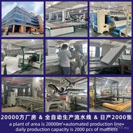 Five-Star Bedroom Mattress Breathable Cross-Border Simmons Hotel Household Compression Spring Mattre