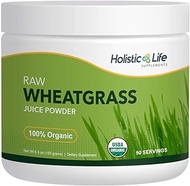 Holistic Life Supplements Organic Wheatgrass Juice Powder, Ancient Sea Bed Grown, 6.3 oz, Premium Raw