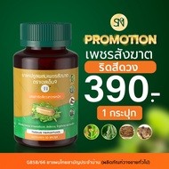 เพชรสังฆาต ริดสีดวง สมุนไพรเพชรสังฆาต Hemorrhoids SN9เพชรสังฆาต ติ่งยื่น อัคคีทวาร โกฎกรักกรา ขลู่ ร