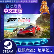 PC steam Genuine Chinese Game Extreme Racing Horizon 5 Forza Horizon 5