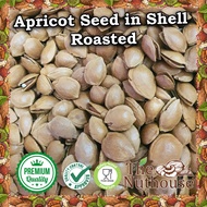 1kg Apricot Seed in Shell Roasted Roasted Apricot Seed/