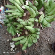 buah pisang raja nangka 1 kg