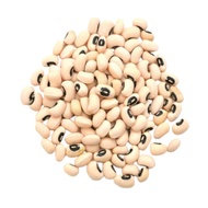 Eye Bean/Kacang Ketupat /Kacang Putih Mata Hitam