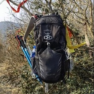 Real&new OSPREY TALON 22 Backpack L/XL size 背囊