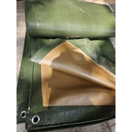 Korean A20 Plastic Tarpaulin | Size 2x3 meters