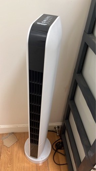 Rasonic 直立式風扇