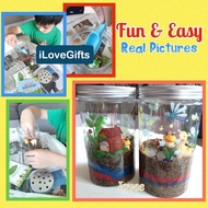 【SG Ready to Ship】Terrarium Kit Magic Luminous Grass Early Educational DIY Toy Set Pot Planting For Kids DIY plant gifts