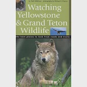 ’watching Yellowstone And Grand Teton Wildlife
