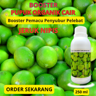 Pupuk Jeruk Nipis Pupuk Booster Perangsang Pemacu Pelebat Pembesar Jeruk Nipis Pupuk Organik Cair.