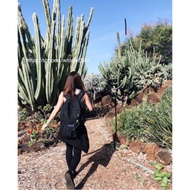 Jansport big student College Large Capacity 34L Black Backpack