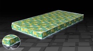 Seller Own Delivery Single / Super Single / Queen / King Mattress 8 Inch Foam Mattress Tilam