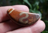 金錢勾羊角老天珠 17.3克 財源滾滾 老天珠 西藏羊角紅天珠 西藏