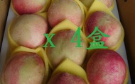 【復興鄉-日系白鳳水蜜桃 10顆裝x4盒(2斤2兩/盒)】拉拉山水蜜桃 纖維少 汁多香甜