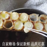 Royal Jelly Homemade Royal Jelly Locust Flower Jelly Bear Quick Frozen Pure Natural Rapeseed Spring 