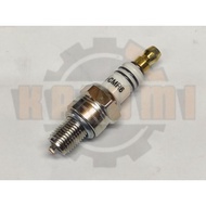 Mesin Rumput GX35 Spark Plug CMR6