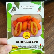 Terlaris Benih Timun Suri Aurelia Ipb - Benih Timun Mas