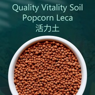 Quality Vitality Soil Popcorn Leca 4-5mm Multi purpose potting medium soil 1Kg