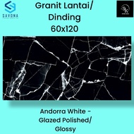 Granit lantai 60x120 Savona Gress Andora White - Glazed Polished