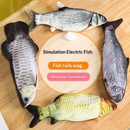 Beating Fish Influencer Fish Toy Simulation Electric Fish Same Style Jumping Fish Tail Swinging Fish