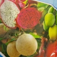 300g FRUIT-BEARING PAKSA STEEL For fruit trees, fruit trees, seedlings, 3-5 seeds per pot for chili 