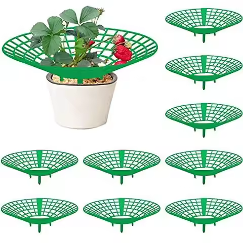 10pcs Strawberry Supports - Strawberry Plant Support Stand Racks Protector Frame Holder Cage