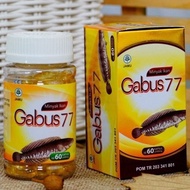 Kapsul Gabus Albumin Minyak Gabus Ikan Kutuk Oil - Albu Oil