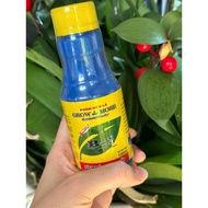 Growmore Vitamin B1 Foliar Fertilizer 100ml