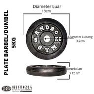 Latest 5Kg Shatterproof Iron Dumbell Plate Weight Cast Iron Plate 5Kg