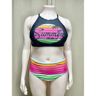 Plus Size Two Piece Swimsuit Bikini Set 2XL | 3XL