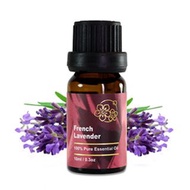 Amour 精油 - French Lavender Essential Oil - 法國薰衣草 10ml - 100% Pure