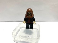 **稀有品** Onlinesaitin Killer Croc Lego Minifigures Custom