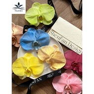 Pearl Spray Color Spray Color Spray Floral Dye Michigan Crushed Ice Blue Rose Spray Colorant Self-Sp