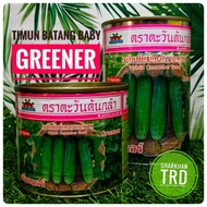 Tin 50-100g GREENER F1 Biji Benih Timun Batang Baby F1 Hybrid Short Cucumber Seeds Sun &amp; Seedling Advance Seeds Thailand