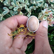 cincin rotan songsang tangkai kendi tebal