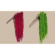 Pot hanging branches for party decor