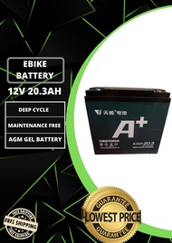 Electric Ebike Battery  Tianneng Brand 12v-20.3Ah