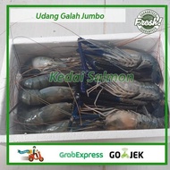 Udang Galah Jumbo Besar 1 Kg Isi 4-6 Ekor Udang Galah Super Best Seller