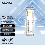 光威（Gloway）弈系列1TB SSD固态硬盘 长江存储颗粒 TLC M.2接口 NVMe协议 PCIe4.0  7000MB/s读速